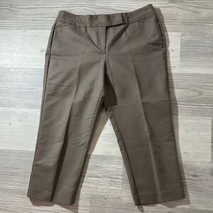 Ann Taylor Stylish Brown Short Trousers